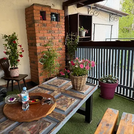 Mazurska 8a Hostel *
